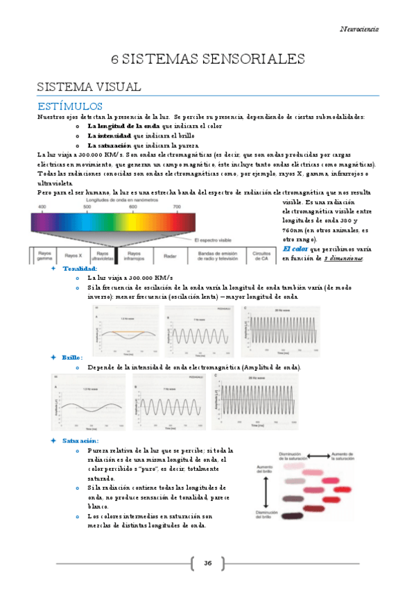 Miniatura del documento Neurociencia-Tema-6.pdf