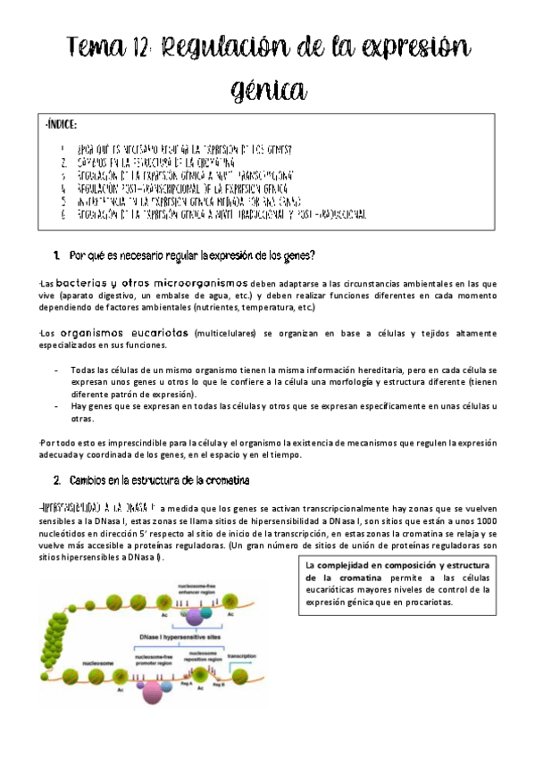 Miniatura del documento tema-12-genetica.pdf