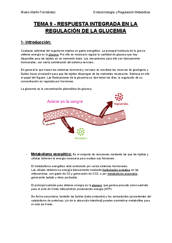 Miniatura del documento TEMA-9-RESPUESTA-INTEGRADA-EN-LA-REGULACION-DE-LA-GLUCEMIA.pdf