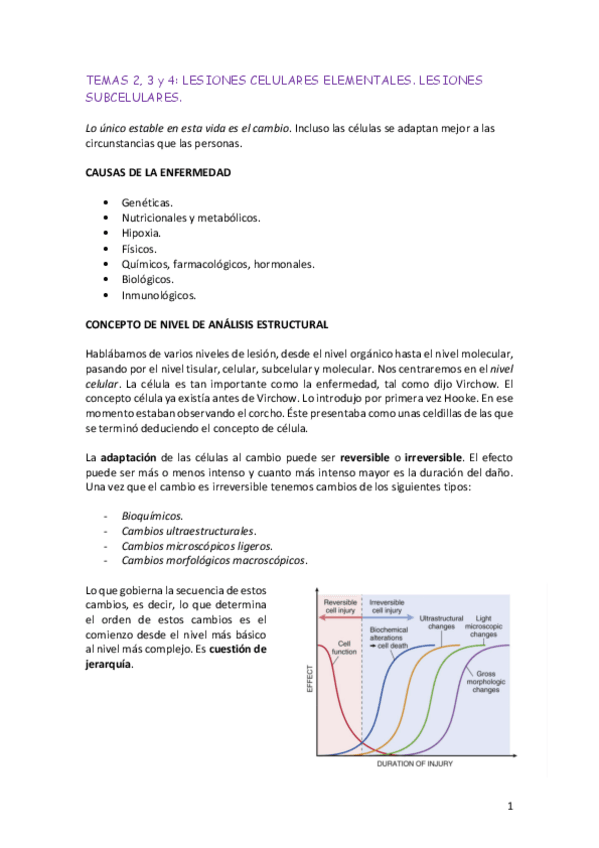 Miniatura del documento TEMAS 23 y 4.pdf