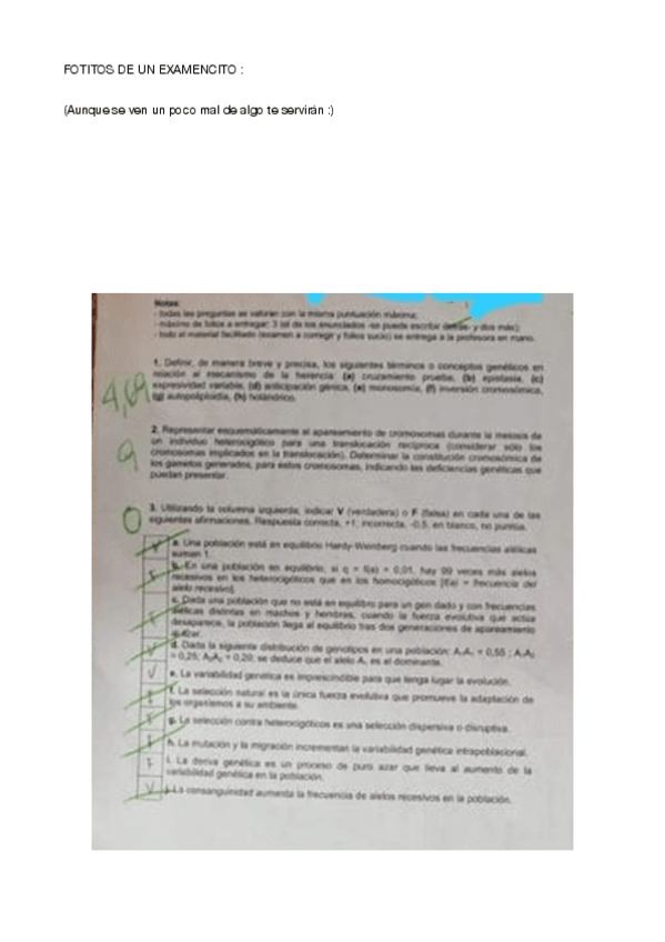 Miniatura del documento foticos.pdf