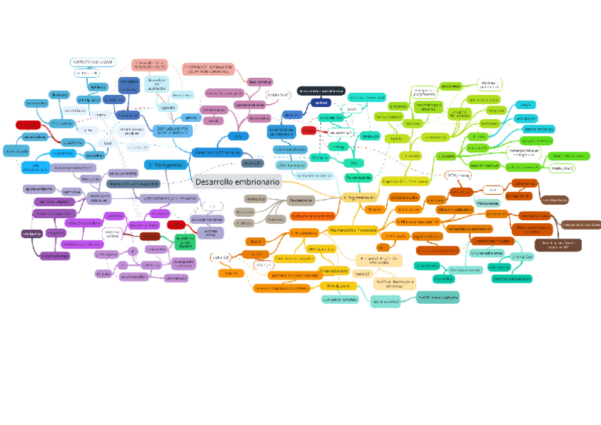 Miniatura del documento Mapa-mental-del-desarrollo-embrionario.pdf