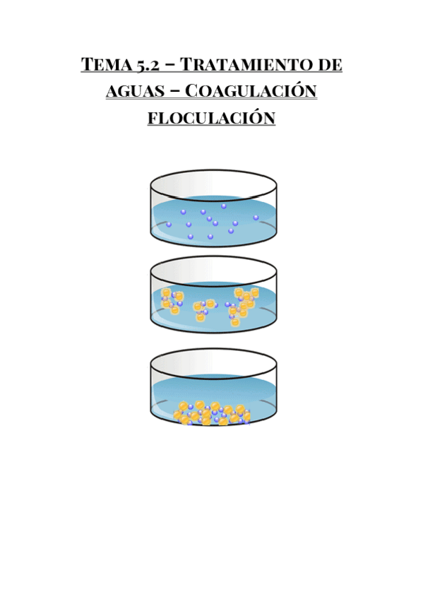 Miniatura del documento TEMA-5.pdf