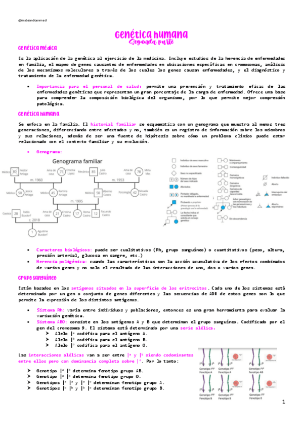 Miniatura del documento GENETICA-2.pdf