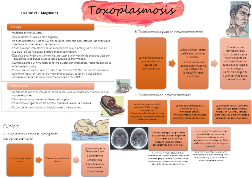 Miniatura del documento TOXOPLASMOSIS-RESUMEN.pdf