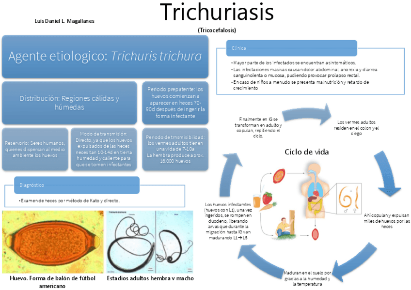 Miniatura del documento TRICHURIASIS-RESUMEN.pdf