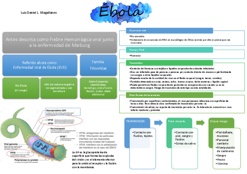 Miniatura del documento EBOLA-RESUMEN.pdf