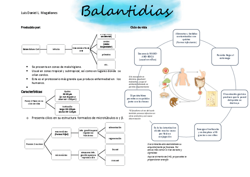 Miniatura del documento BALANTIDIASIS-RESUMEN.pdf