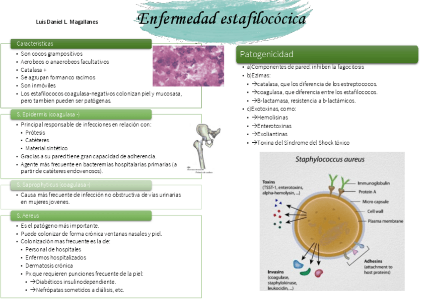 Miniatura del documento ENFERMEDAD-ESTAFILOCOCICA-RESUMEN.pdf
