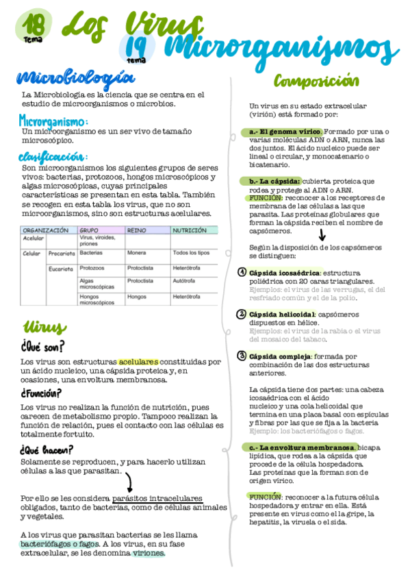 Miniatura del documento 1819-virus-microorganismos-.pdf