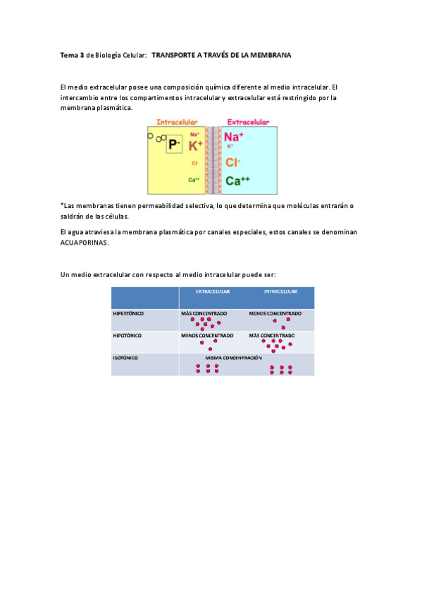 Miniatura del documento TEMA-3-BIOLOGIA-CELULAR.pdf