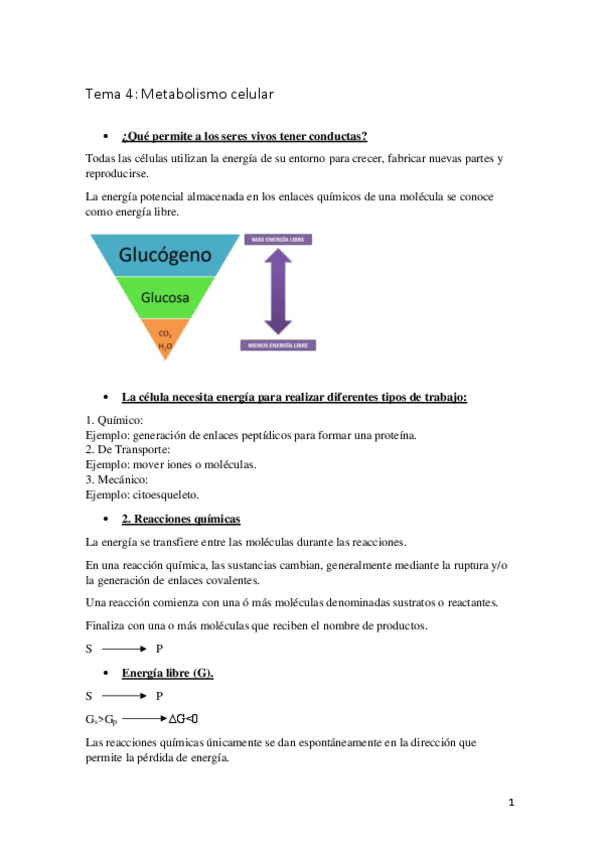 Miniatura del documento TEMA-4-BIOLOGIA-CELULAR.pdf