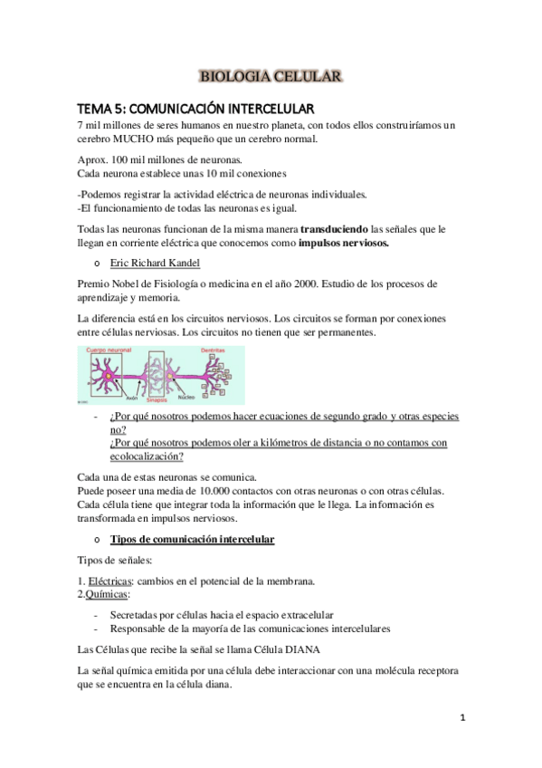 Miniatura del documento TEMA-5-BIOLOGIA-CELULAR.pdf