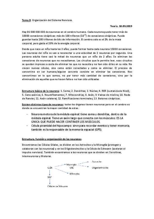 Miniatura del documento APUNTES-TEMA-8.pdf