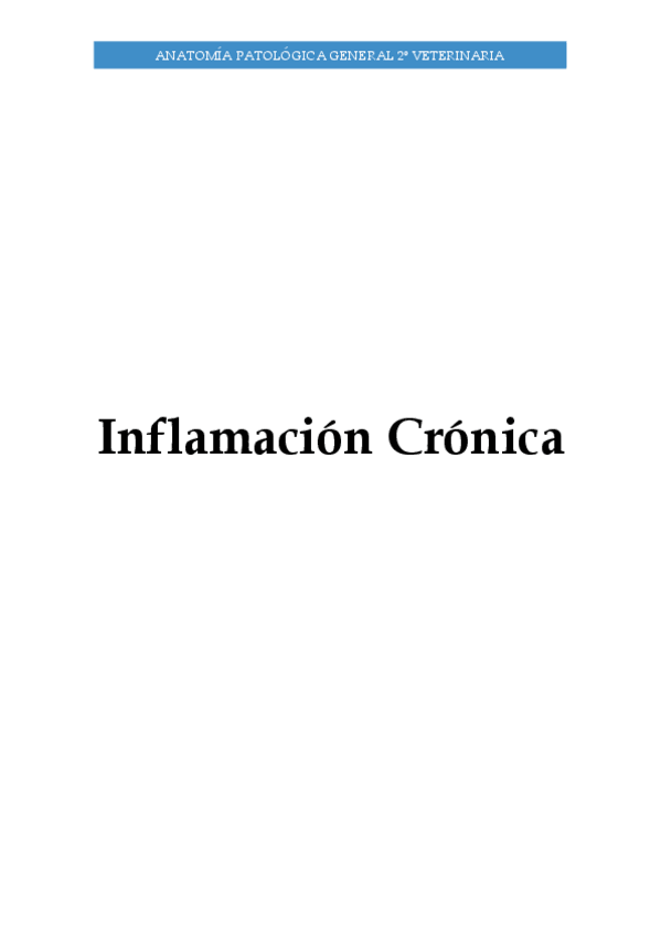 Miniatura del documento Inflamacion-III.pdf