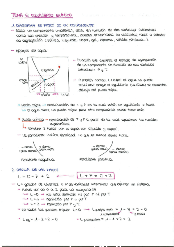 Miniatura del documento 5. Equilibrio químico.pdf