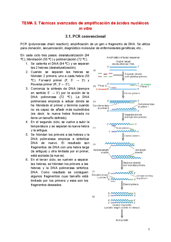 Miniatura del documento TEMA-3.pdf