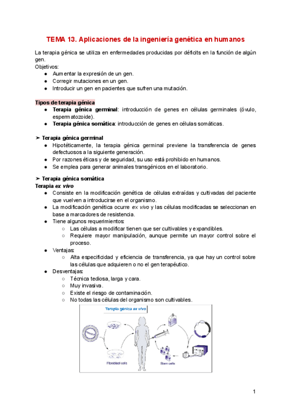 Miniatura del documento TEMA-13.pdf