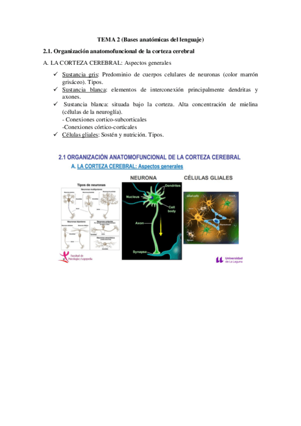 Miniatura del documento Tema-2.pdf