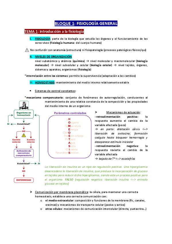 Miniatura del documento APUNTES-FISIO-COMPLETOS-RESUMIDOS.pdf