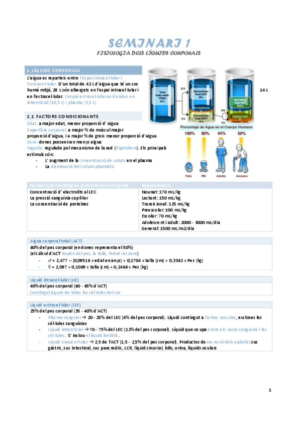 Miniatura del documento SEMINARI-1.pdf