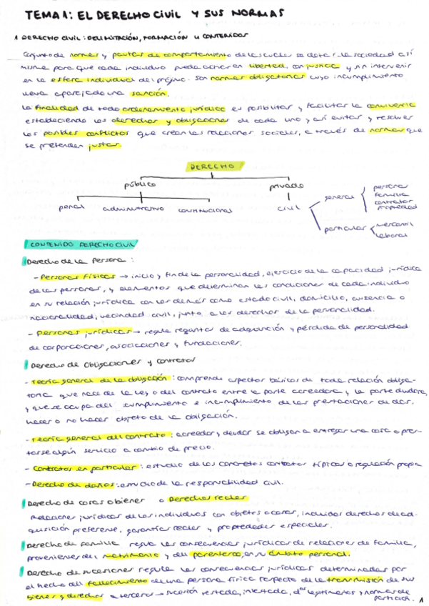 Miniatura del documento TEMA-1-EL-DERECHO-CIVIL-Y-SUS-NORMAS.pdf