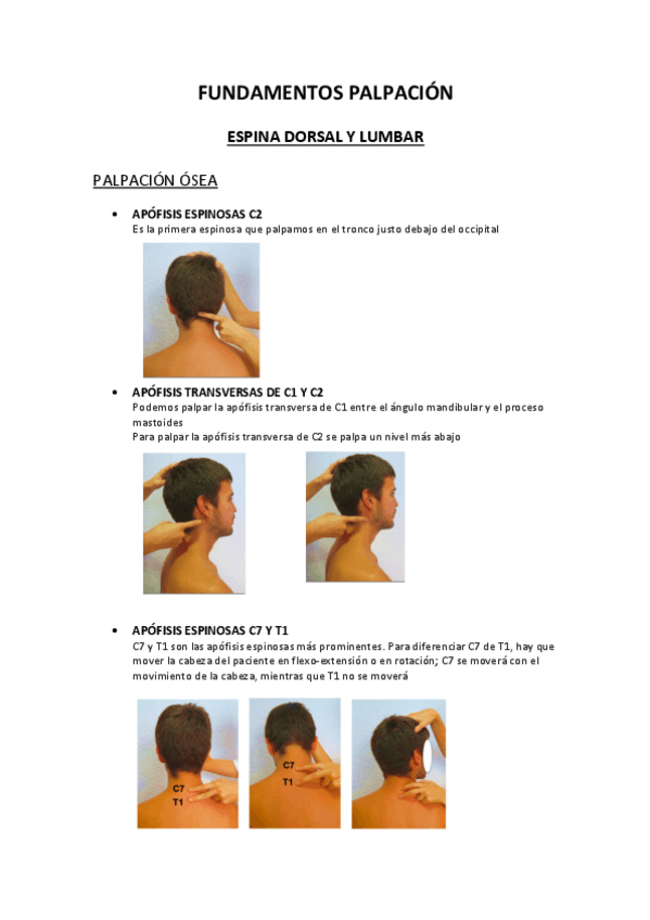 Miniatura del documento PALPACION-TRONCO.pdf