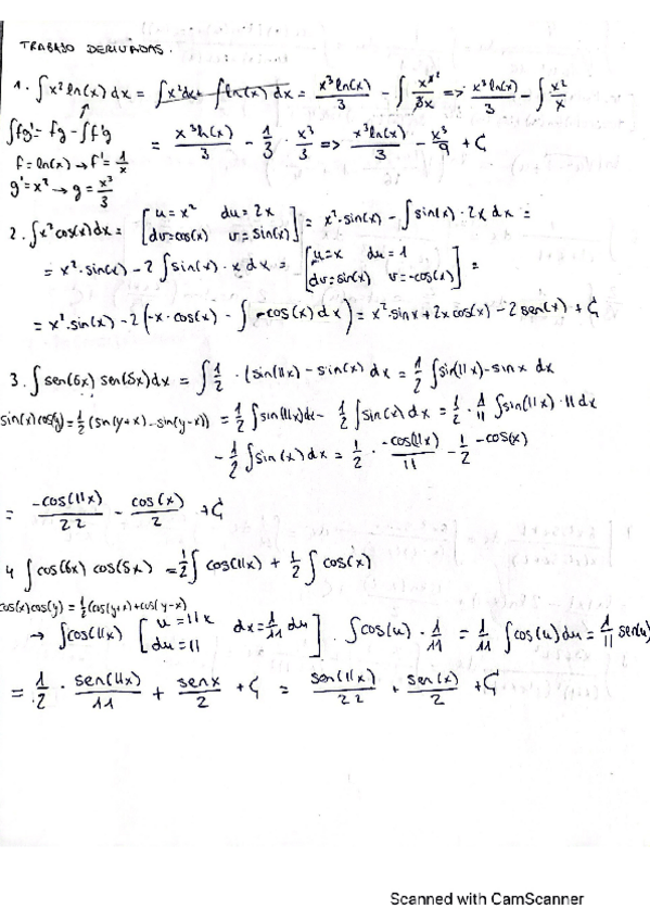 Miniatura del documento TRABAJO-INTEGRALES.pdf