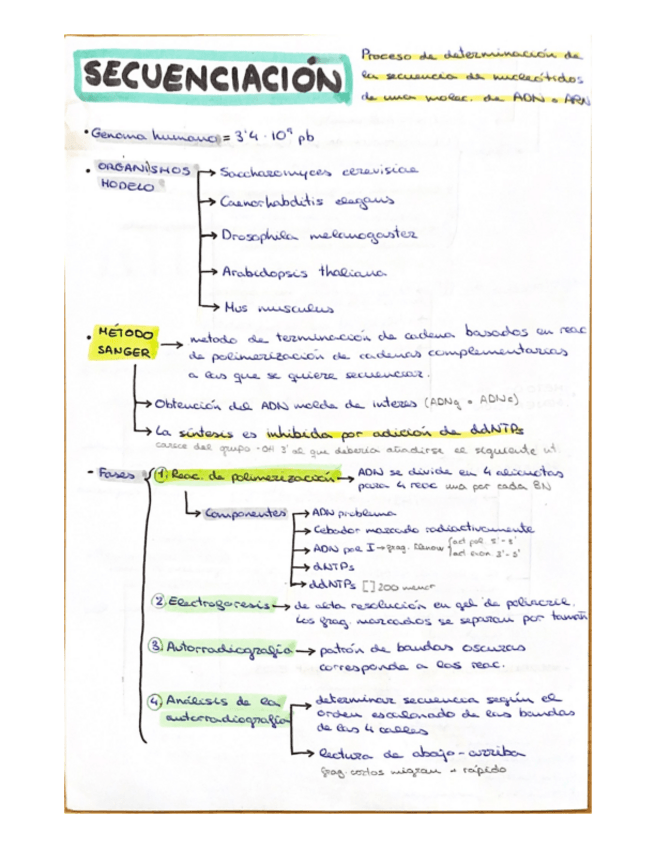 Miniatura del documento Tema-8-Bio.pdf