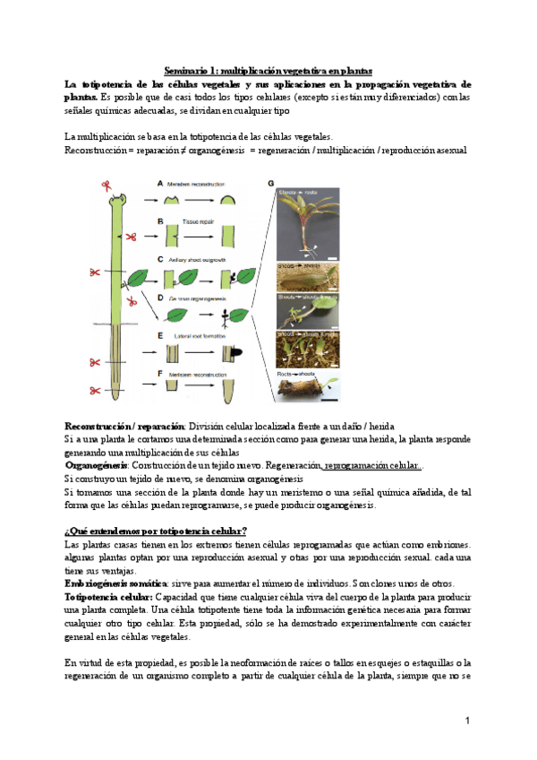 Miniatura del documento Seminarios.pdf