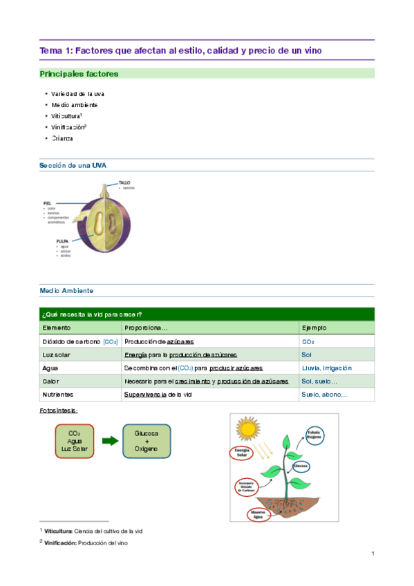 Miniatura del documento Resumenes-bebidas-espirituosas.pdf