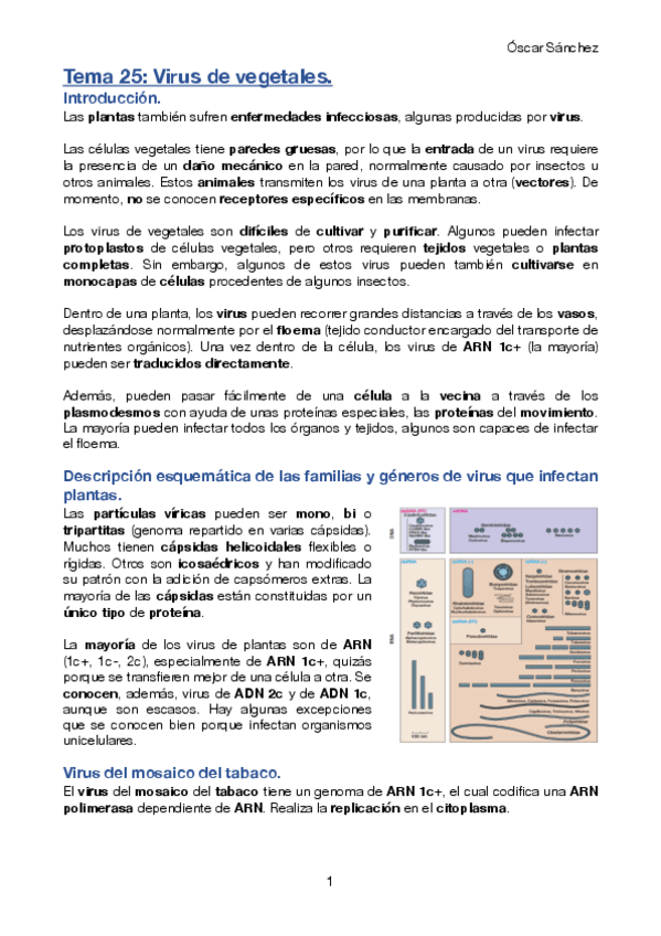 Miniatura del documento Tema-25-Micro-II.pdf