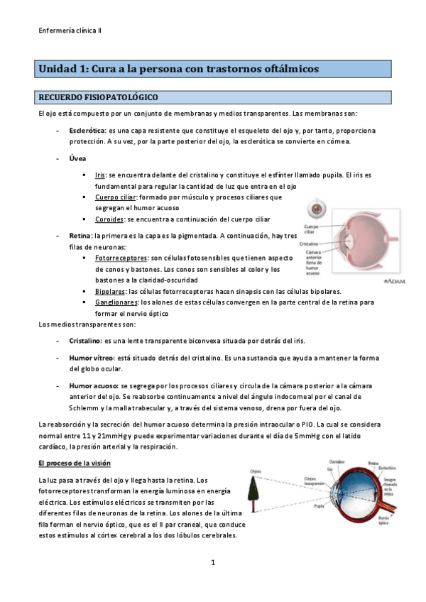 Miniatura del documento clinica.pdf