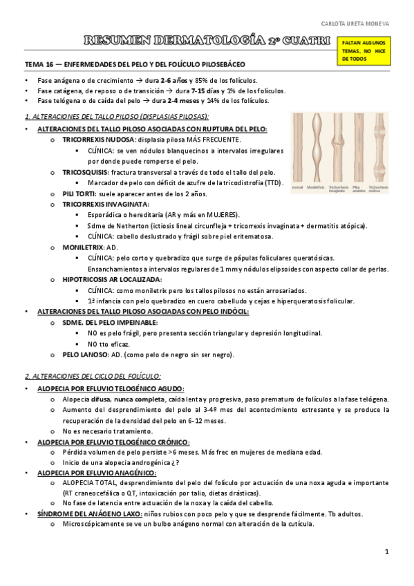 Miniatura del documento SUPERRESUMEN-DERMA-carlota.pdf