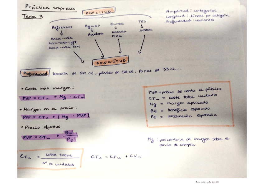 Miniatura del documento practica-empresa-II.pdf
