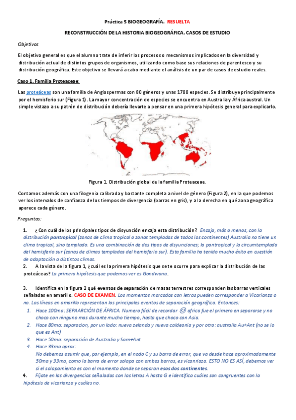 Miniatura del documento Guion-practica-5-RESUELTA.pdf
