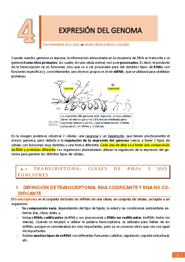 Miniatura del documento 4.pdf