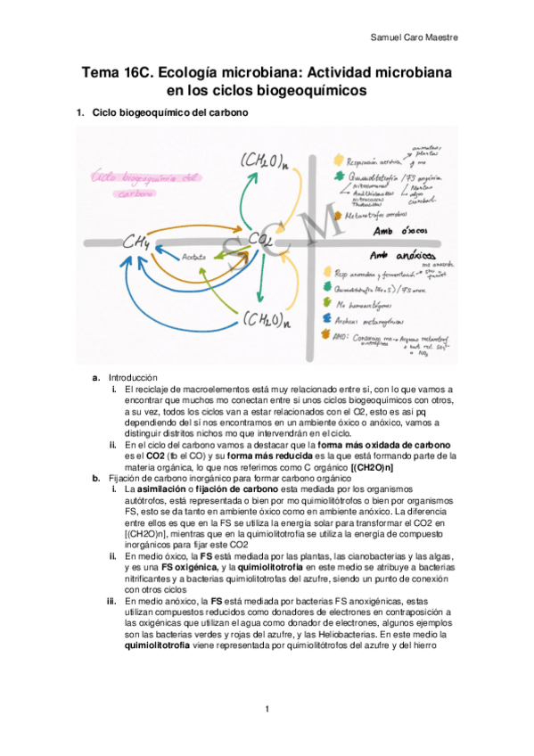 Miniatura del documento C.pdf