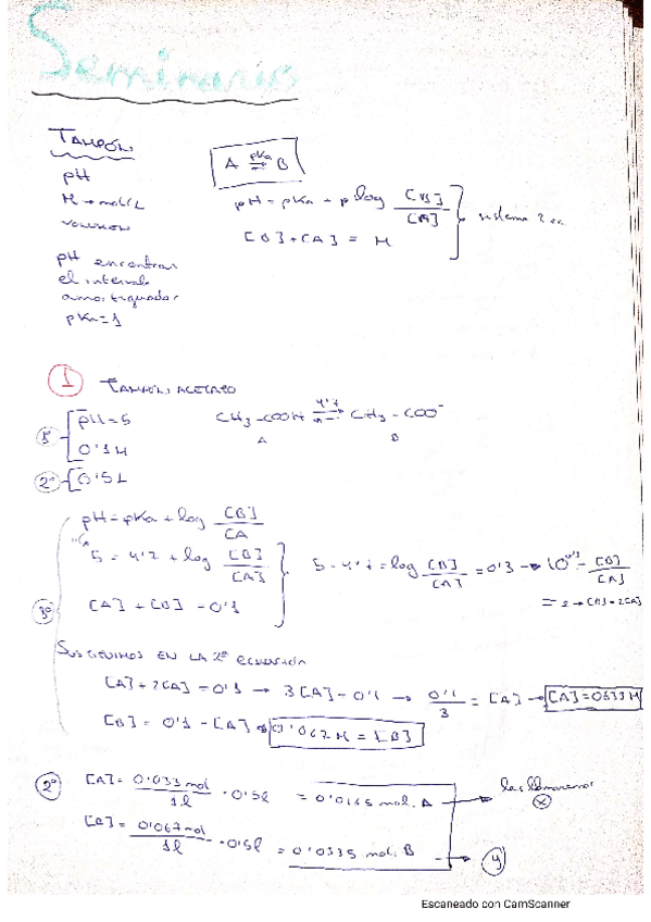 Miniatura del documento seminario-bioquimica-tampones-con-explicacion.pdf