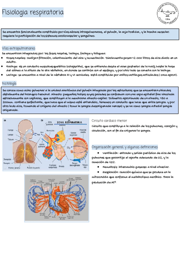 Miniatura del documento Apunte-Respiratorio.pdf