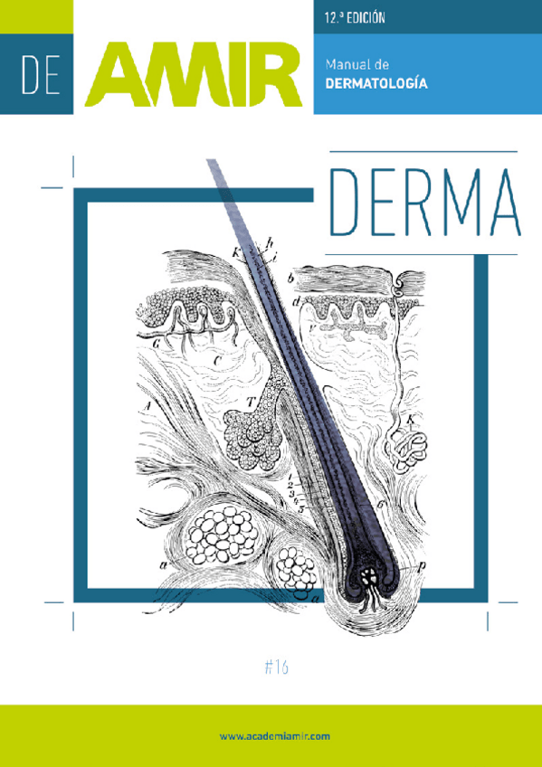 Miniatura del documento MANUAL-AMIR-DE-DERMATOLOGIA-12-EDICION.pdf