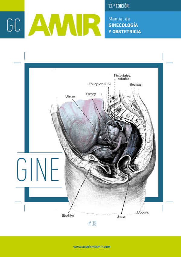 Miniatura del documento MANUAL-AMIR-DE-GINECOLOGIA-Y-OBSTETRICIA-12-EDICION.pdf