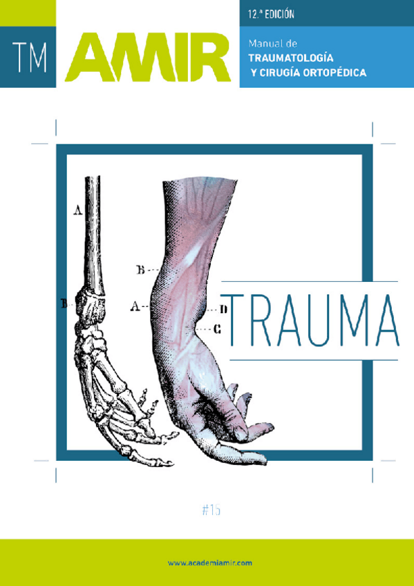 Miniatura del documento MANUALAMIRDETRAUMATOLOGIAYCIRUGIAORTOPEDICA12EDICION.pdf