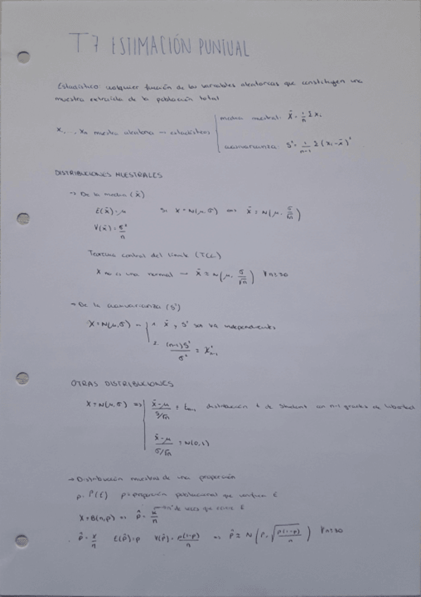 Miniatura del documento T7-ESTIMACION-PUNTUAL.pdf