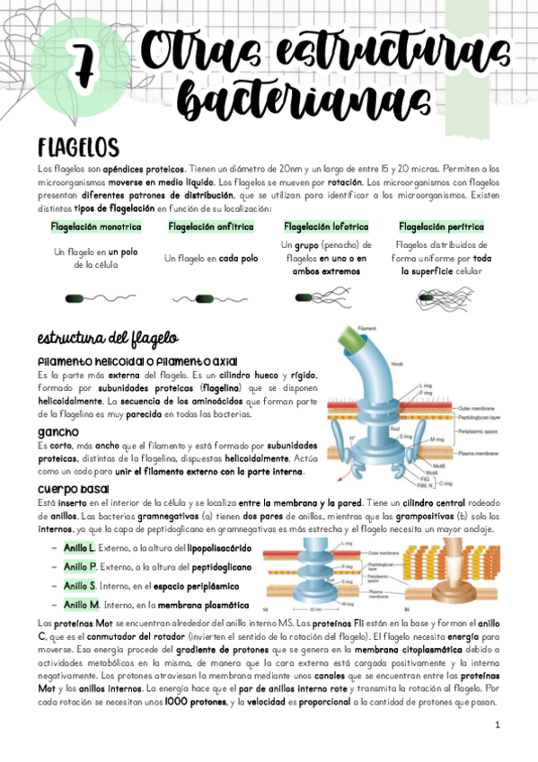 Miniatura del documento Tema-7.pdf
