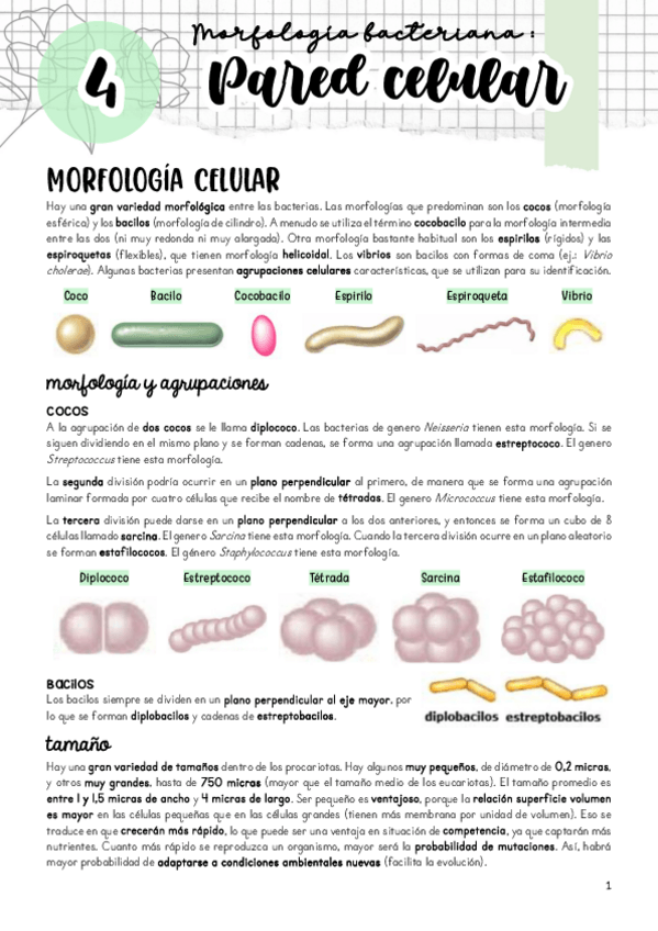 Miniatura del documento Tema-4.pdf