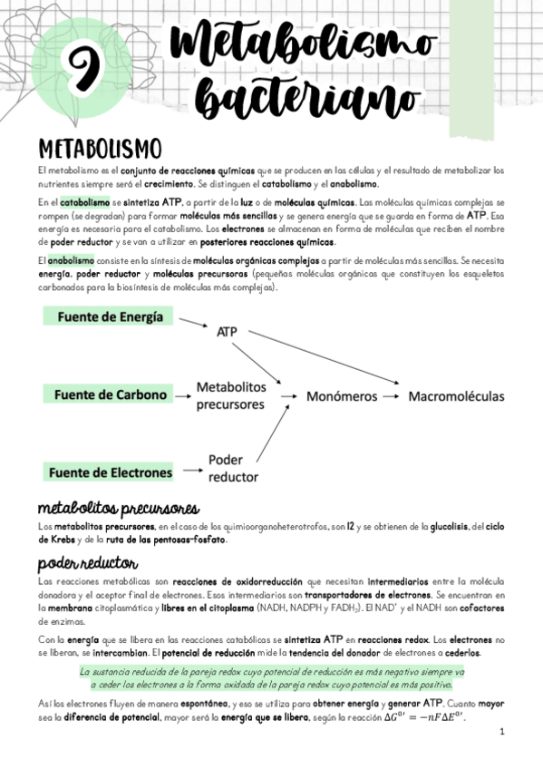 Miniatura del documento Tema-9.pdf