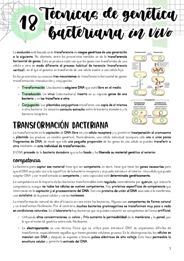 Miniatura del documento Tema-18.pdf