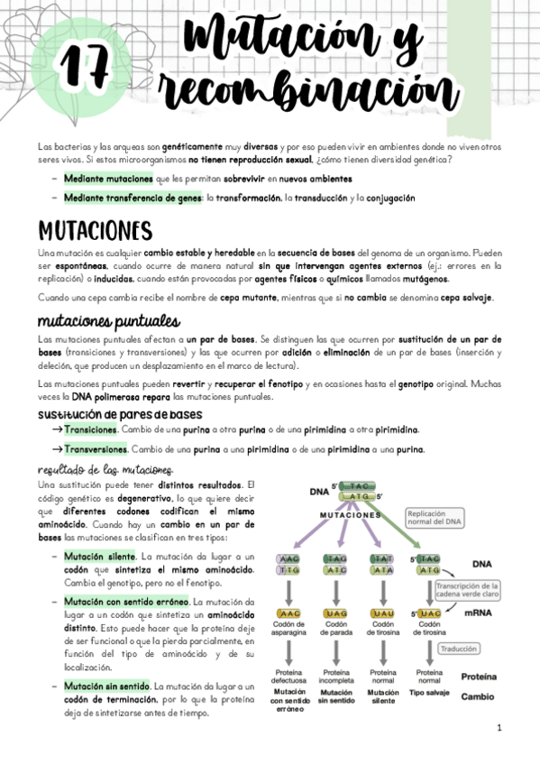 Miniatura del documento Tema-17.pdf