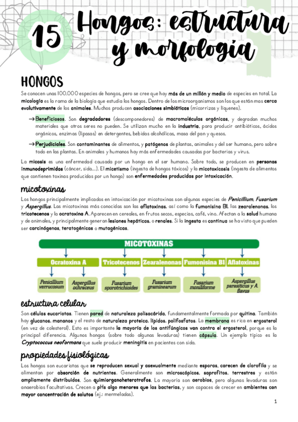 Miniatura del documento Tema-15.pdf